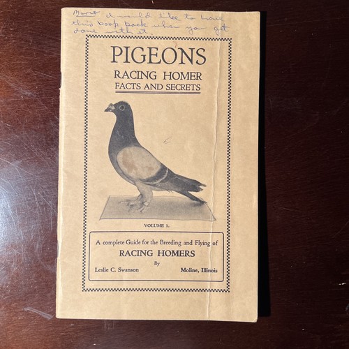Pigeons racing homer facts and - pigeons,