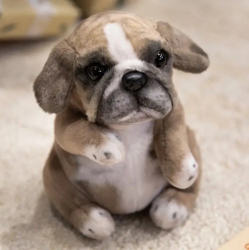Bulldog dog plush toy - bulldog, 7"