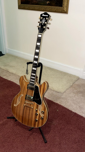 Ibanez artcore expressionist - ibanez,