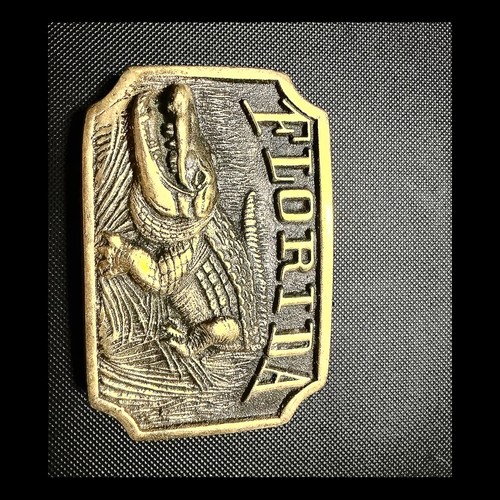 Florida alligator solid - florida,
