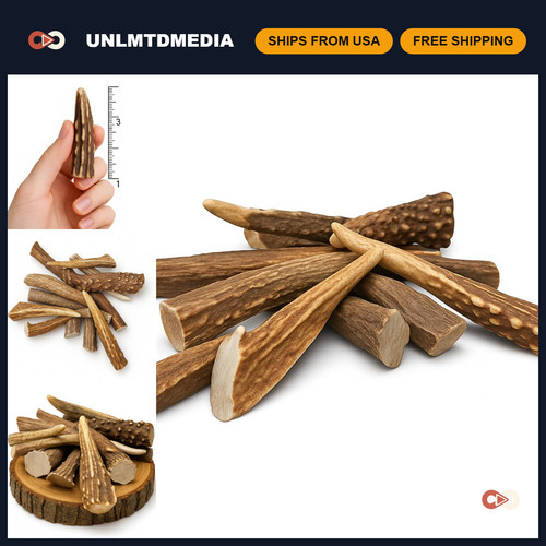 Pack deer antler points - deer,