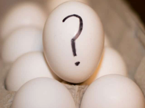 Fresh fertile surprise - fresh,
