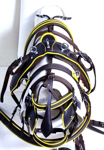 Nylon webbing driving harness - nylon,