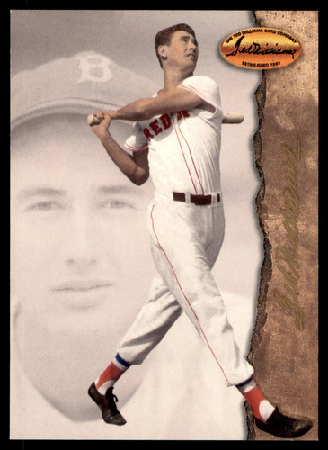 1994 ted williams baseball - ted,