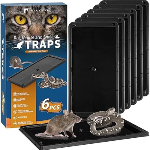Mouse glue traps packs - mouse,