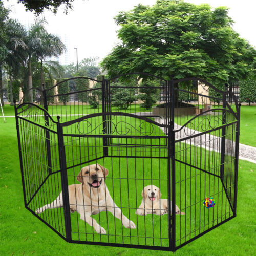 Xxl large heavy duty dog - large,
