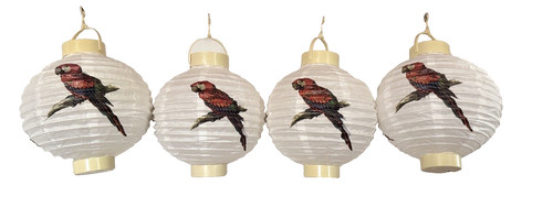 World market pack - market-, 4-pack