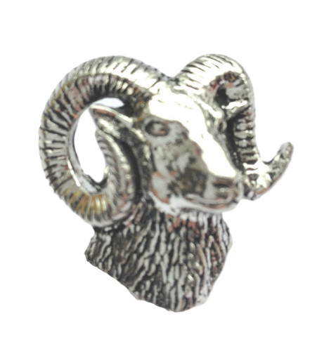 Mouflon wild sheep hand - -,
