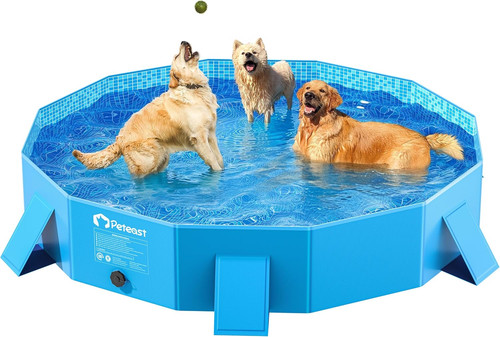 Foldable dog kiddie pool - kiddie, with
