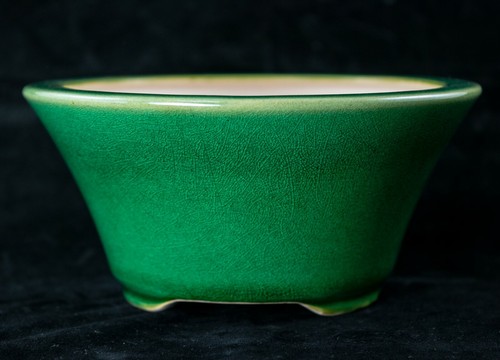 Fine round green - round, cactus
