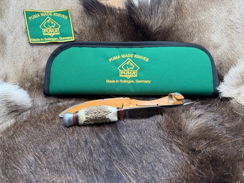 Puma scout knife - knife, stag