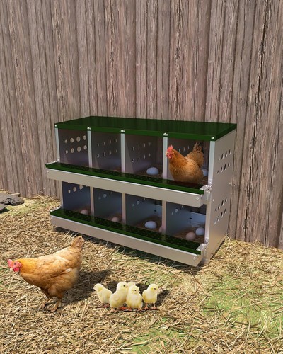 Compartments chicken nesting - 8,