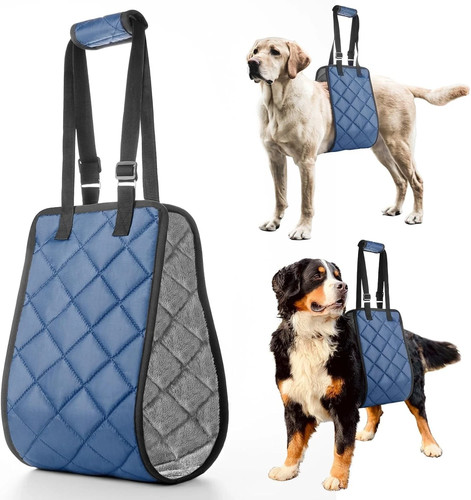 Adjustable dog sling - dog,