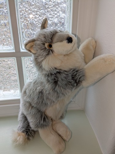 Whitaker the wolf - whitaker,