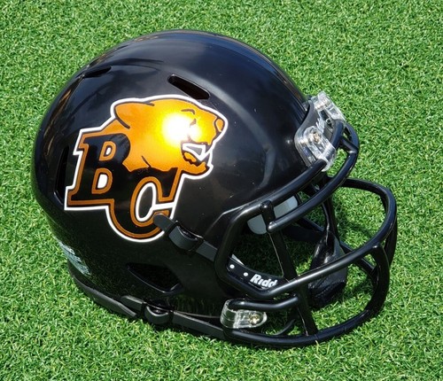 Lions cfl football - football, mini