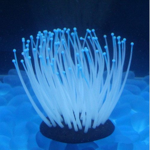 Silicone sea anemone plant - silicone,