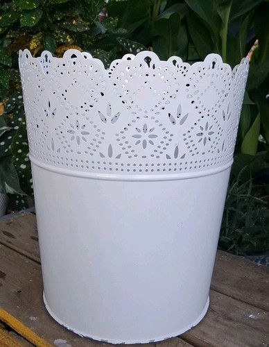 Vintage bed bath beyond - bed,