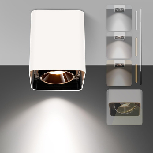 Dimmable white led ceiling - dimmable,