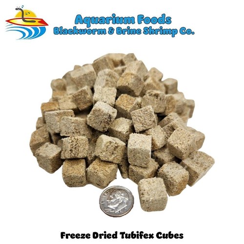 Tubifex worms freeze dried - tubifex,