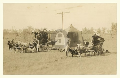 Ches mccartney wanderer - wanderer, "goat