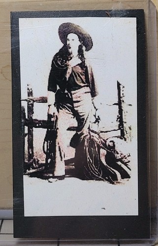 Buffalo bill william - buffalo, wild