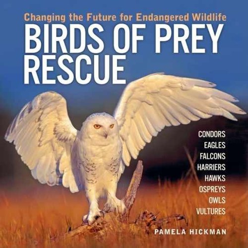 Birds prey rescue changing - prey,