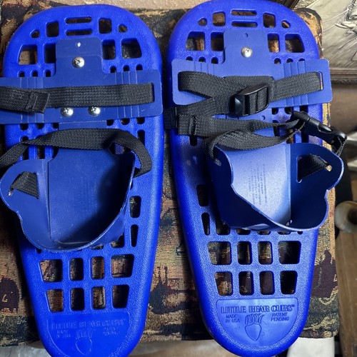 Snowshoes little bear grizzly - little,