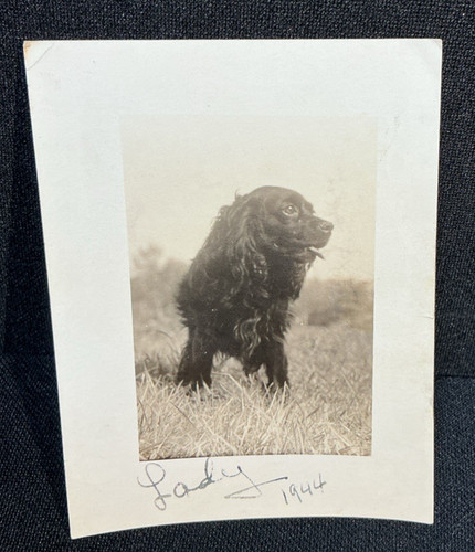 Vintage snapshot photo 1944 - vintage,