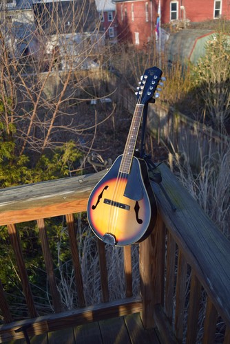 1980 bently style mandolin - 1980's, a-style
