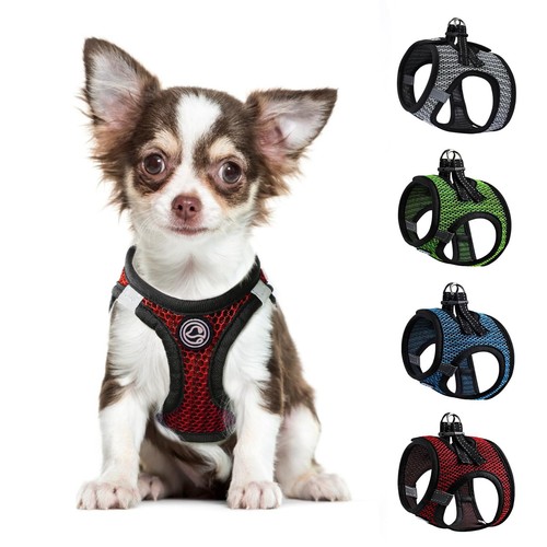 Dog harness for medium dogs - dog,
