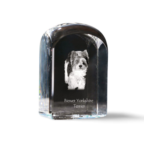 Biewer yorkshire terrier - biewer,