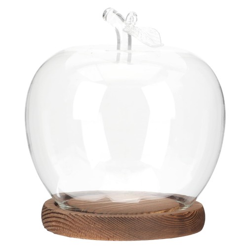 Glass dome with base cover - with,