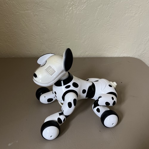 Zoomer dog your - dog, real