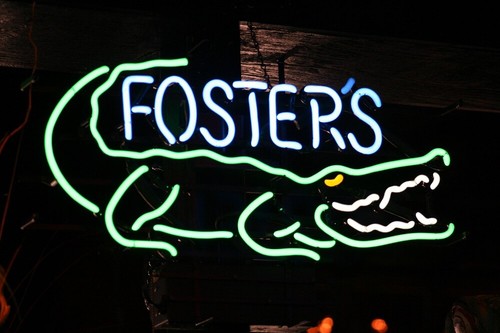 X16 foster lager - foster's, gator
