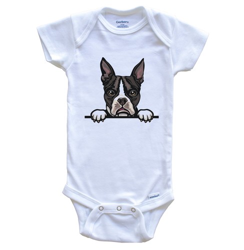Boston terrier dog breed cute - terrier,