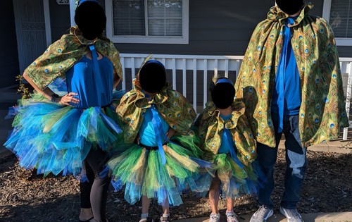 Homemade peacock halloween - peacock,