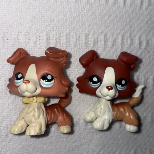 Authentic lps littlest pet - authentic,
