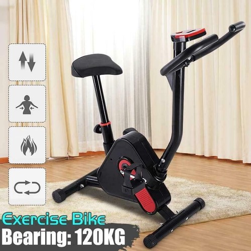 Exercise bike fitness - exercise,