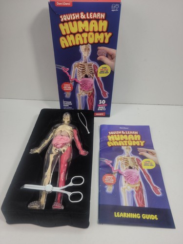 Dananddarci human anatomy - dananddarci,
