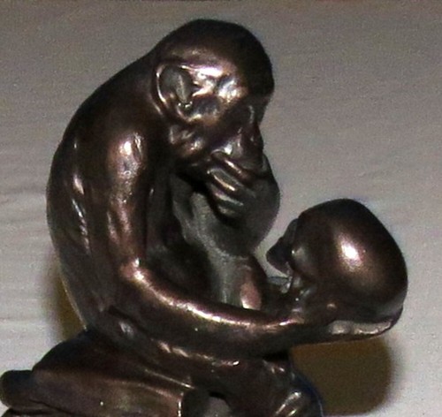 Darwin philosophizing monkey - darwin, 8