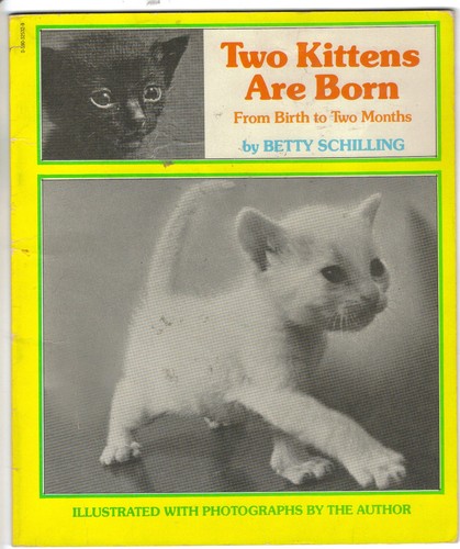 Two kittens are born - kittens,