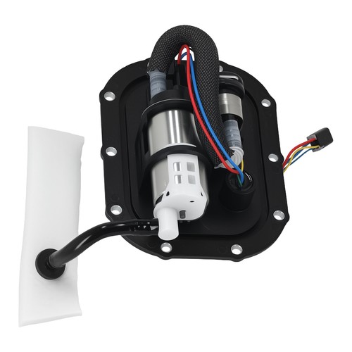 Fuel pump assembly for - fuel,