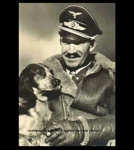 German fighter ace - german,