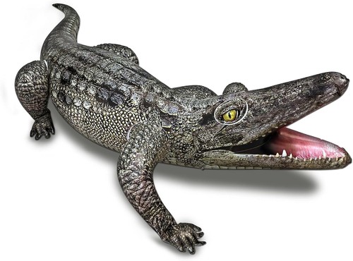 Inflatable alligator pool toys - inflatable,