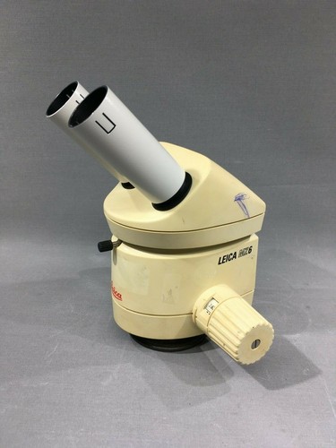 Leica microscope focusing - leica,