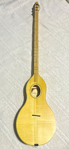 Washburn rover ro5 acoustic - washburn,