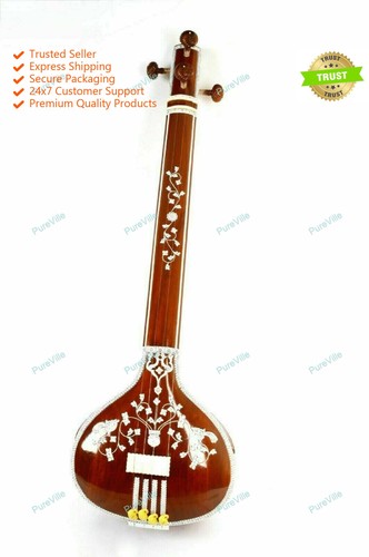 String tambura instruments - tambura,