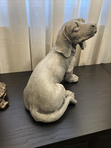 Dachshund puppy dog - dachshund, garden