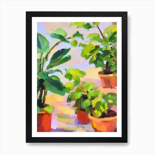 Split leaf philodendron - leaf,