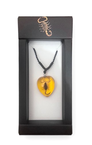 Scorpion insect necklace - scorpion,